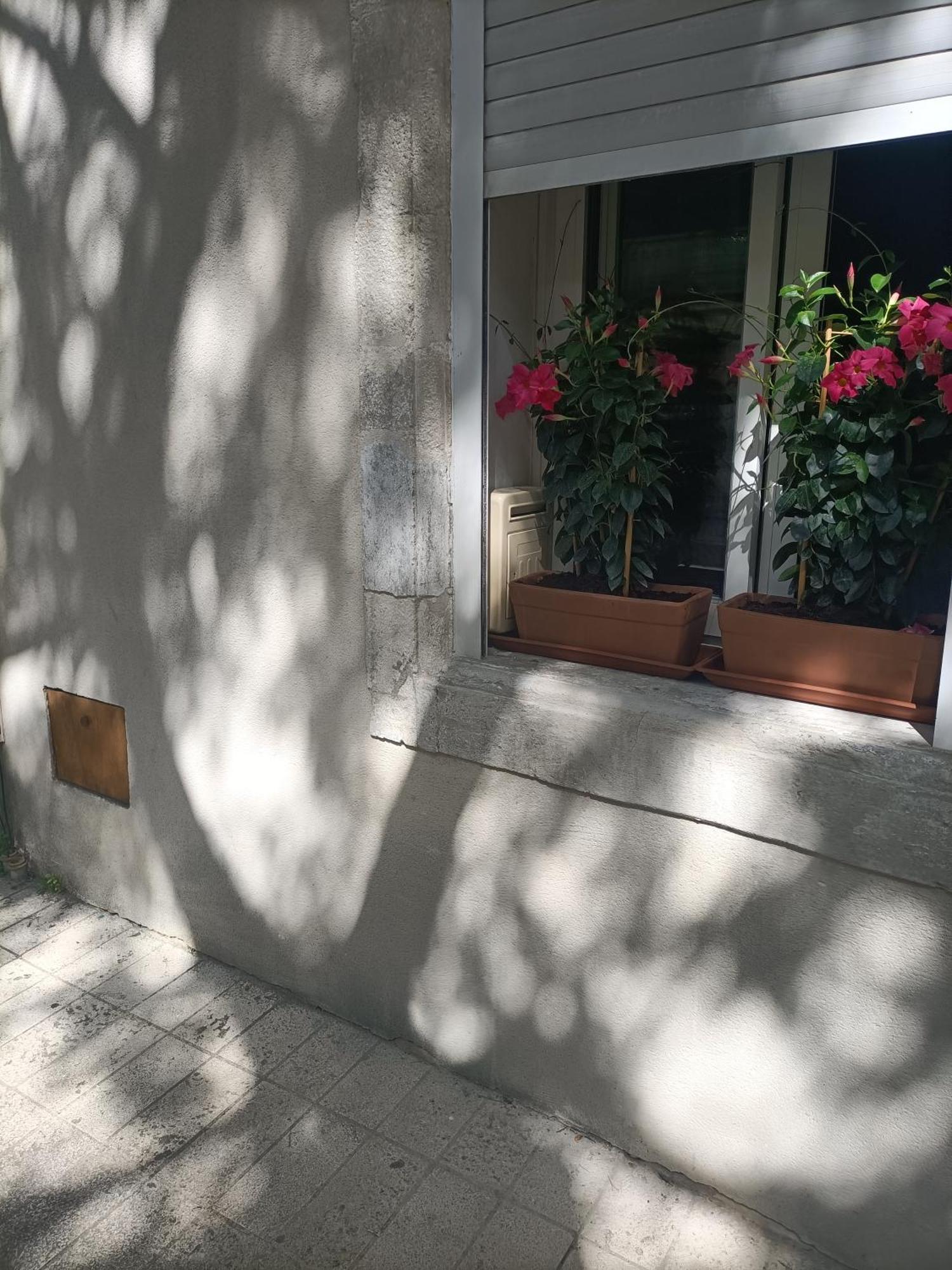 Apartment 24